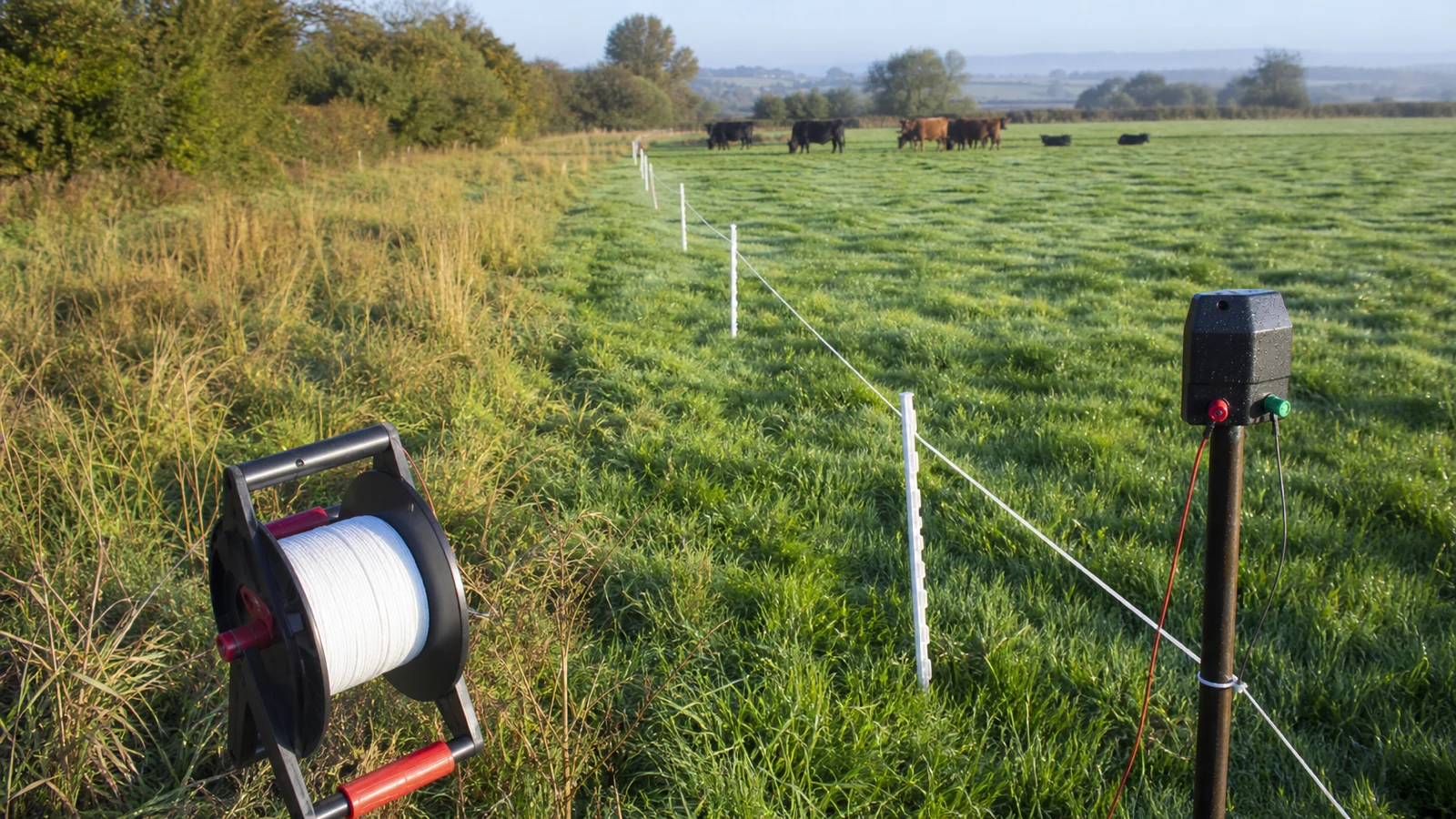 Temporary electric fence strip grazing setup on a UK pasture with portable energiser and polywire reel